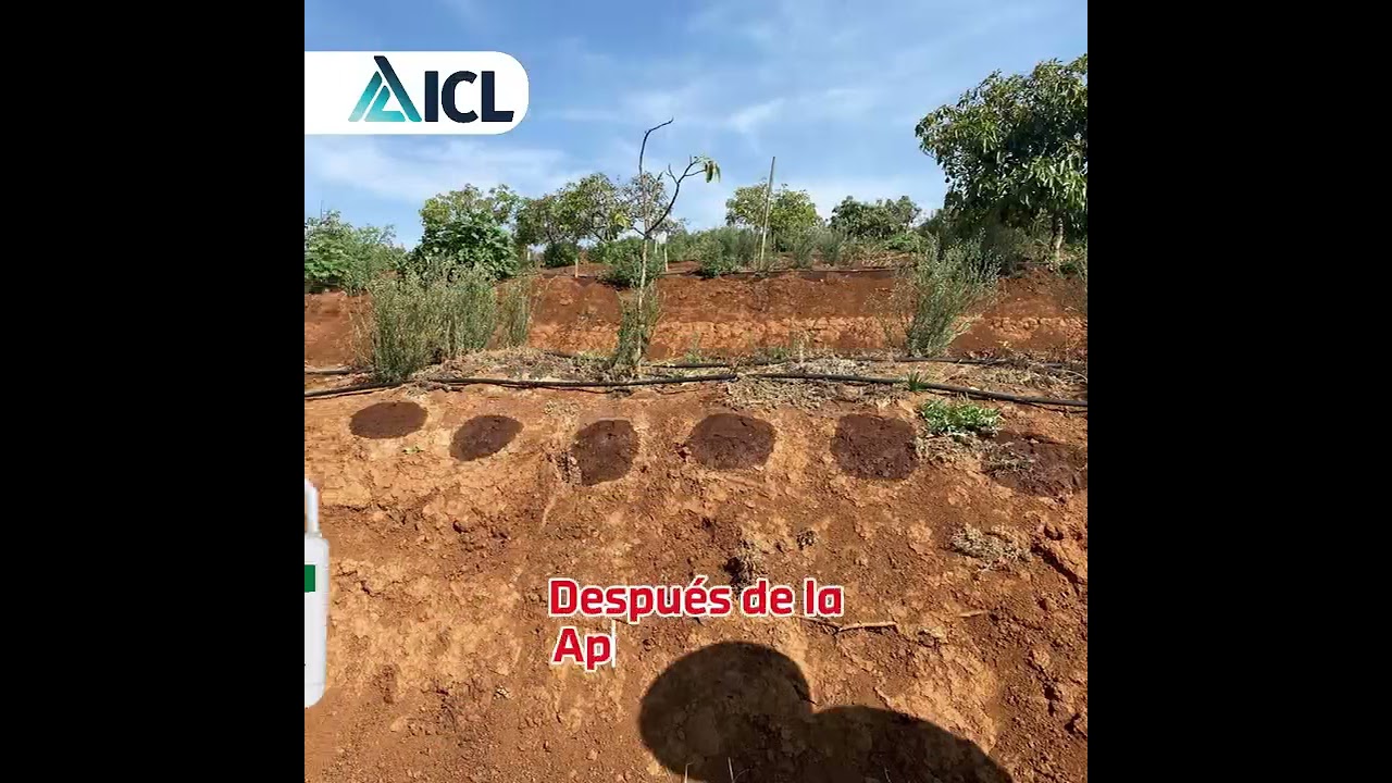 Aplicamos H2Flo® en cultivo de aguacate