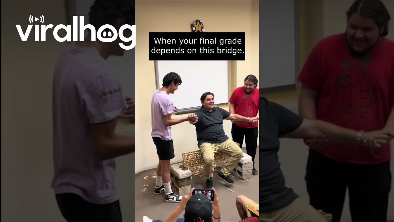 Architecture Final Bridge Bears the Weight || ViralHog