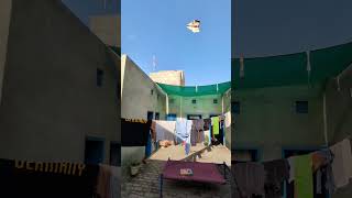 Paper Airplane That Flies 300 Feet #paperplane​ #papercraft​ #diy​ ✈️