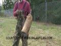 FILA BRASILEIRO ATTACkS TRAINER OFF THE CHAIN の動画、YouTube動画。