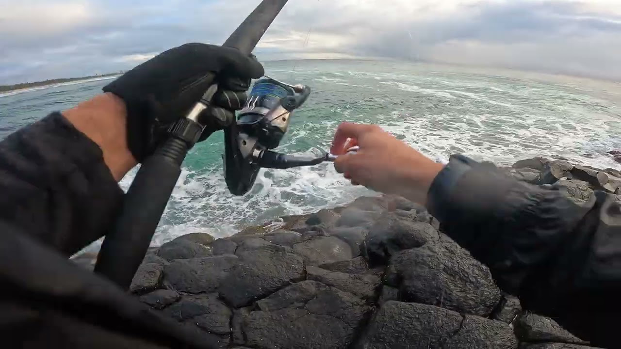 Fingal head fishing