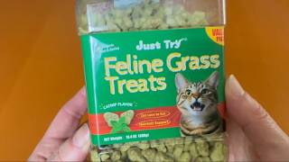 Hairball Help, Catnip and Cat Grass in One Low Calorie Treat  | Just Try Cat Grass Treats for Indoor