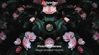 PinkPantheress - Illegal (Slowed + Reverb + Lyrics)