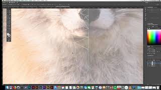 low poly fox speedpainting adobe illustrator