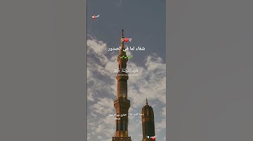 #شفاء_لا_يغادر_سقما#تلاوة هادئة#مسعد عبد الرحمان#الجزائر #السعودية #فلسطين #مصر #العراق