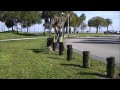 Lad (1 year old German Shepherd) Before and After Video - Off Leash K9 Training Tampa Bay Lad (1 year old German Shepherd) Before and After Video - Off Leash K9 Training Tampa Bay