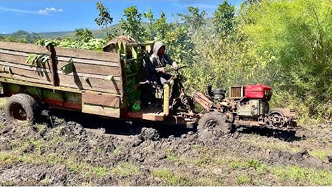 Xe công nông 2 cầu chở chuối gặp bùn cực khỏe bốc khói