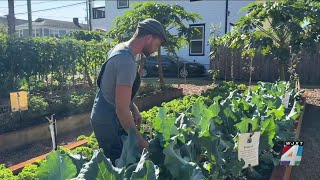 A local farmer says he’s being blocked from expanding urban farm, city disagrees