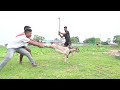 😂😪काट दीया खसी को भाई ने #viral #comedyshorts #trending #dance #ragdari #shortvideos #viralvideo