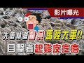 大鹿林道驚見 馬陸大軍!! 目擊者起雞皮疙瘩｜TVBS新聞 @TVBSNEWS02