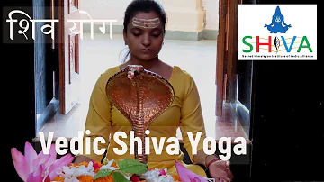 Find Your True Self with Vedic Shiva Yoga