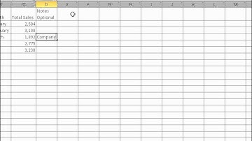 Microsoft Office Excel  2010   Enter and edit data in a worksheet