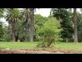 Bulawayo Centenary Park Fountain Bulawayo Centenary Park Fountain