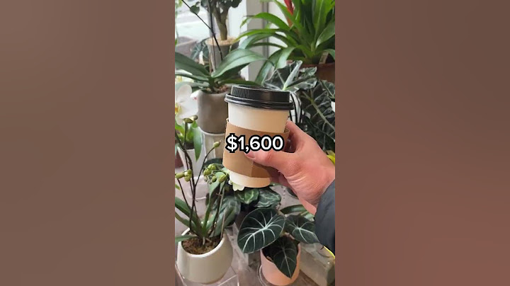 How Much Money Coffee Shops Make! #personalfinance #step #education #business #coffee #coffeeshop
