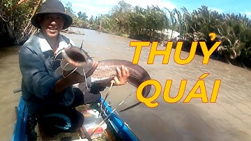 Câu Cá Ngát Hang _ Gặp Ngay  Cá Khủng | Săn Bắt Ba Vát | #38