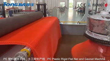 Geonet or rigid flat net machine