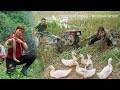 Time-lapse: 72 hours of releasing rescued snakes to the forest –using a tractor to care for the farm