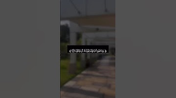 القرآن الكريم وتلاوات خاشعة  تلاوة من سورة البقرة القارئ مشاري فالح