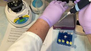 Lab 2 Restriction Digest - ABE Complete Series with narration
