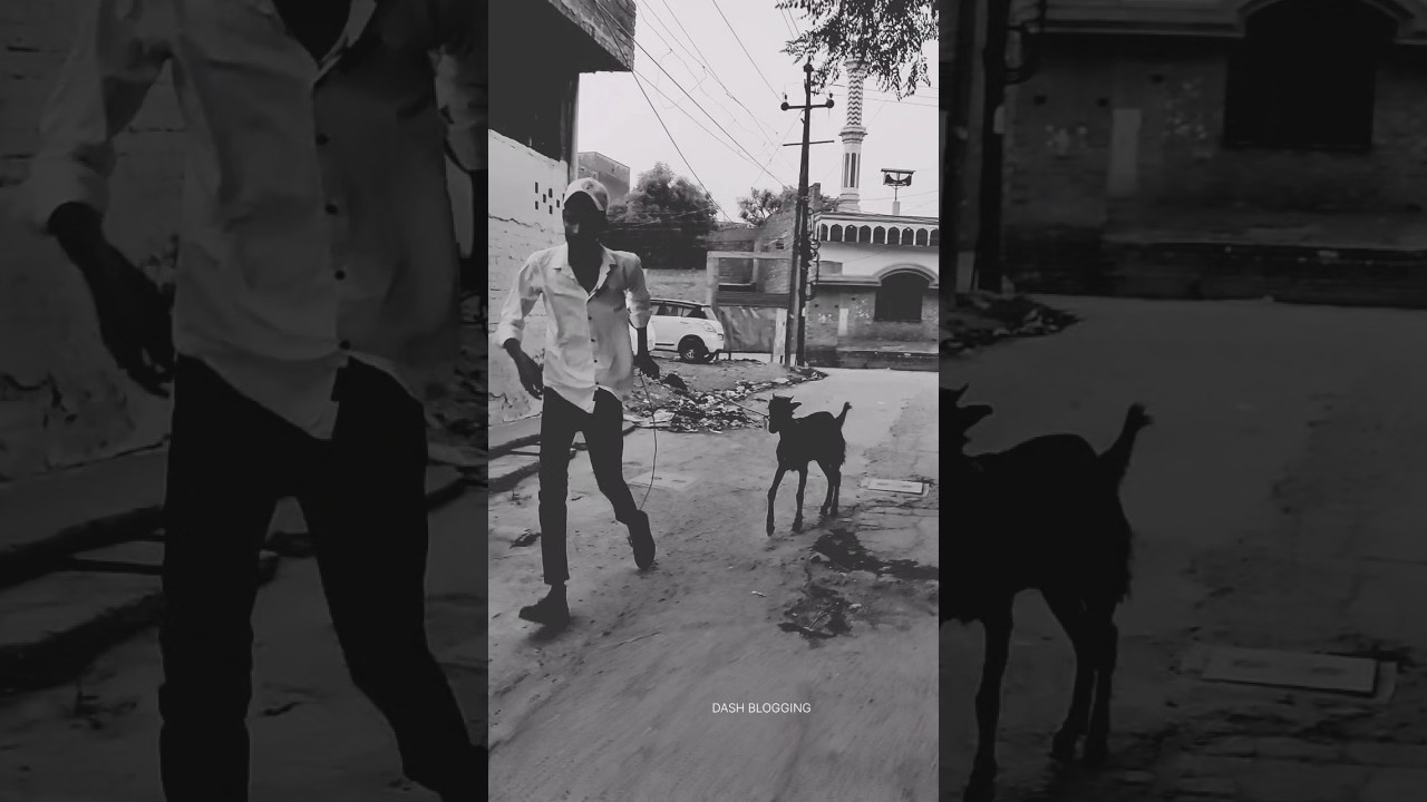 eid mubarak मेरा बकरा।😂😂 