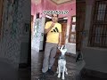 dog training#video#share#viral#subscribe#contact#7988150626