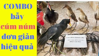 Giò cúm núm ,cúm núm nhồi keo hàng bao chuẩn anh em nhé