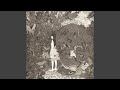 Miniature de la vidéo de la chanson Division 2 -- Ghost Of A Horse Under The Chandelier
