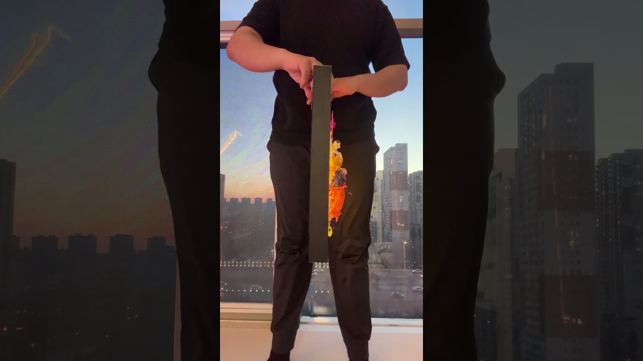 Experts Say This Dragon Ball Z Frame Is A MUST HAVE For Fans