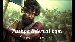 Pushpa Interval Bgm Slowed Reverb Enjoy