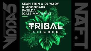 SEAN FINN & Dj WADY & MOONDARK  pasilda (cassimm remix)