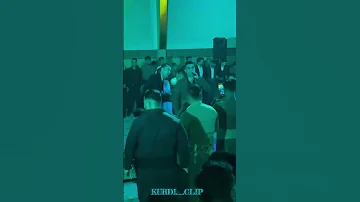 Halparke Kurdi Kurdishdance Dance Halparke 