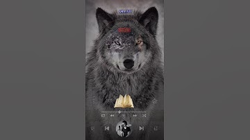 فلما ذهبوا به وأجمعوا أن يجعلوه في غيابت الجب#سورة_يوسف #اسلام_صبحي #سبحان_الله #الدوسري #قرآن