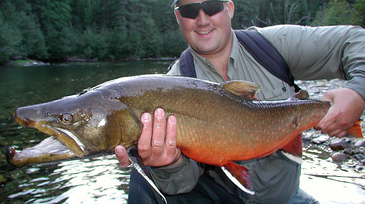 Giant Bull Trout on the Fly! "Angler's Xperience Episode 6 Part:1"