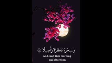 Сура Аль-Ахзаб 41-43 Аяты سوره الاحزاب من الايه ٤١-٤٣ #قرآن #قران_كريم #قران #قرآن_كريم