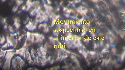 Algo en el interior de este rubí parece tener vida.