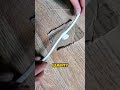 Изолента больше не нужна😱 #дизайн #топ #интерьер #строительство