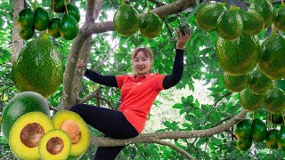 Harvesting Avocado to the market to sell Clear grass along the pond edge! Lucia's daily life