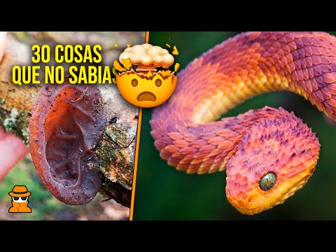 30 Cosas Que No Sabias Hace 5 Minutos #67