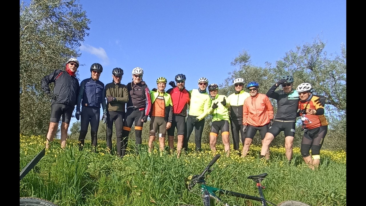 10.03.026  BOLLULLOS