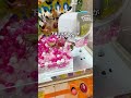 虫好きの個性派お姉さんに景品を取ってあげたい！#クレーンゲーム #ゲームセンター #ufoキャッチャー