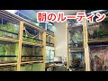 多頭飼育者の朝ルーティンが忙しすぎる…