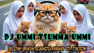 Download Lagu DJ UMMI TSUMMA UMMI SLOW BIKIN CANDU YANG DI TIKTOK  BY Yanz Tube MP3