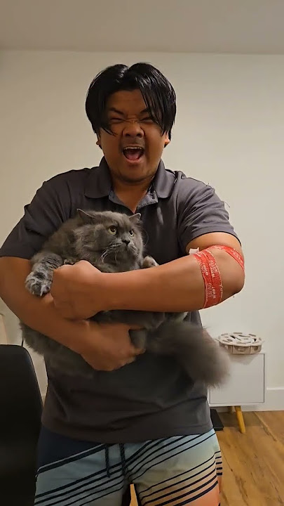 chaba and daddy 🐾🐈#cat #cats #cutecat #catlovers #funny #viralvideo #viralshorts #trending #shorts