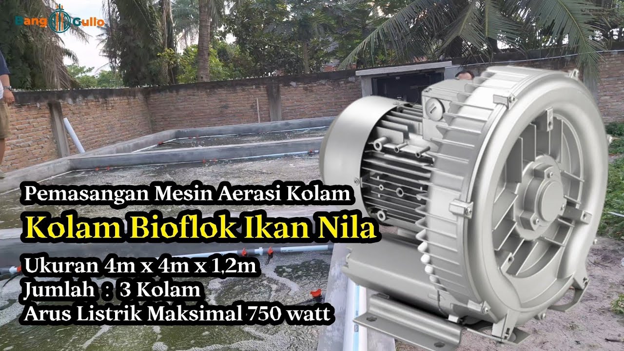 Pakai Ring Blower Hemat Arus Untuk Kolam Bioflok Tinggi Air Lebih 1 meter, Bisakah??