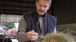 Les prairies fleuries des Vosges du nord : des hommes et des savoir-faire