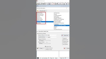 New Feature! Directive Information Window