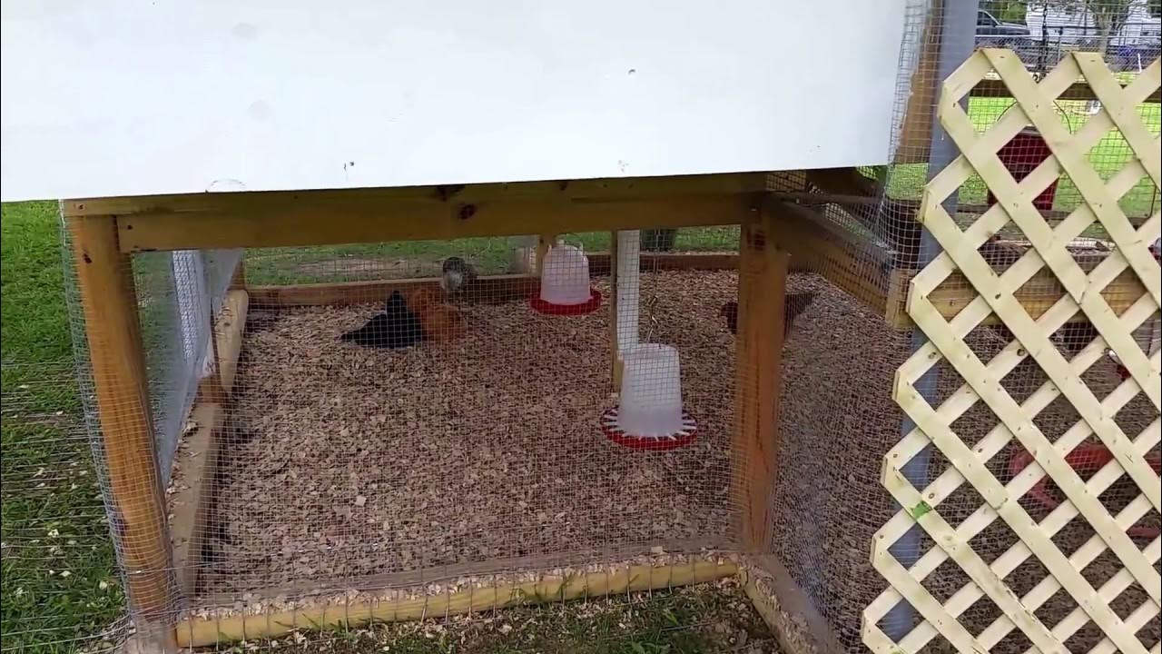 Chicken Coop Texas Chick Inn Tour YouTube