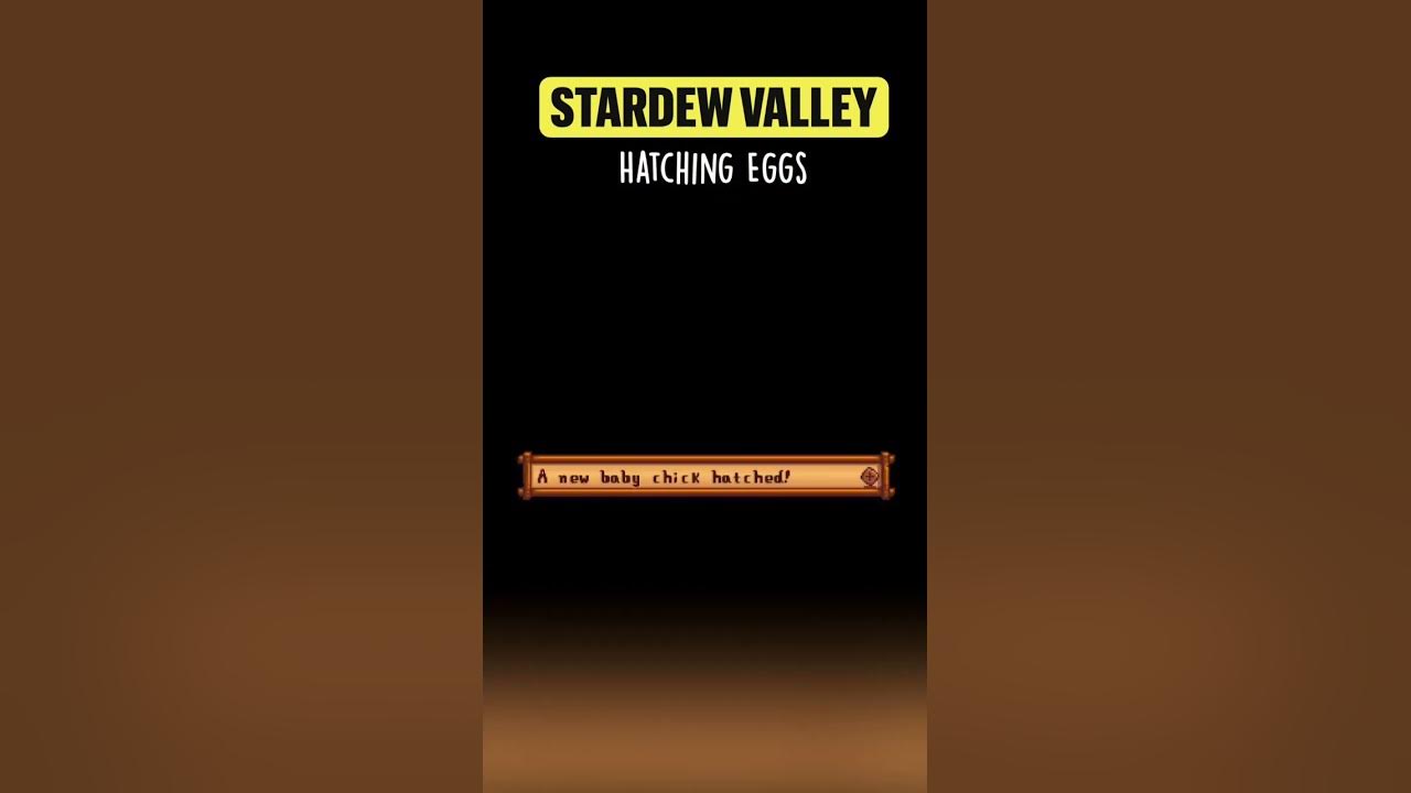 how-to-hatch-eggs-in-stardew-valley-youtube