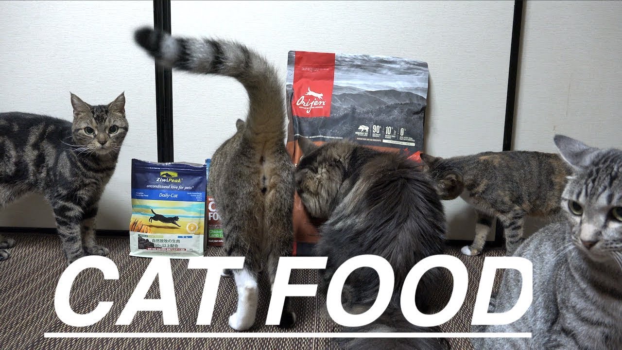 キャットフード グレインフリー キャットフード好みもそれぞれ