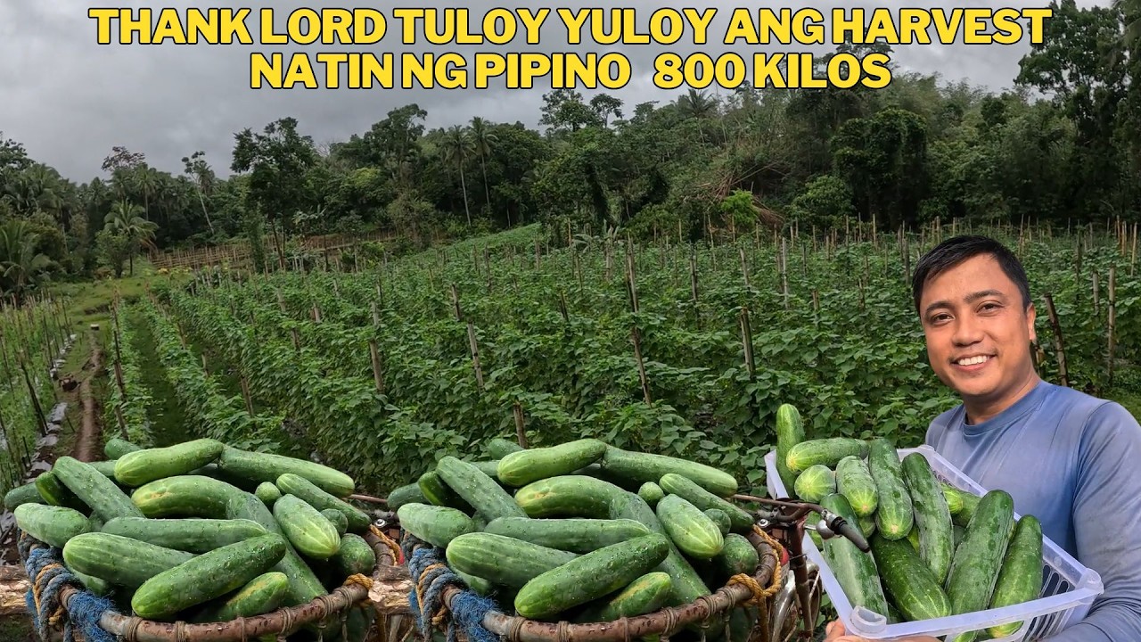 MARAMING SALAMAT SA INYONG LAHAT MGA KAUTOL MARAMING MARAMING SALAMAT PO SA INYONG LAHAT